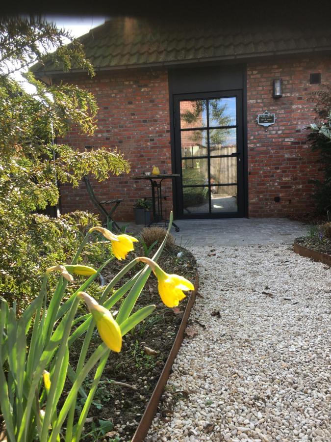B&B Sint-Mariaburg Antwerp Luaran gambar